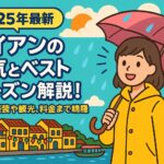 ホイアンの天気をテーマにしたポップなイラストで、雨季に黄色いレインコートを着た女性がピンクの傘をさして微笑み、背景にはホイアンの伝統的な街並みと川が描かれている